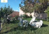Local comercial Residencial en venta con 1000m² en Gema, Calle Cano de Uno foto