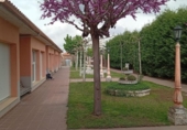 Local comercial Residencial en venta con 1000m² en Gema, Calle Cano de Uno foto