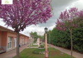 Local comercial Residencial en venta con 1000m² en Gema, Calle Cano de Uno foto