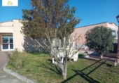 Local comercial Residencial en venta con 1000m² en Gema, Calle Cano de Uno foto