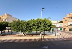 Foto 15