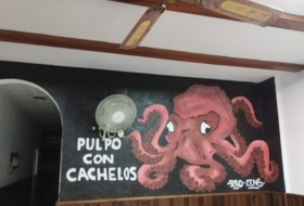 Foto 8
