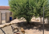 Local comercial en venta en Salinas, CV-830 foto