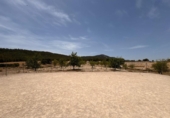 Local comercial en venta en Salinas, CV-830 foto