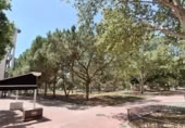 Bar, Cafetería en traspaso con 45m² en Murcia, en la zona de La Flota, Paseo Ingeniero Sebastián Feringán foto