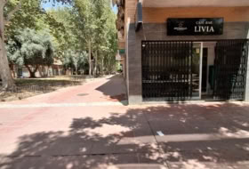 Foto 15
