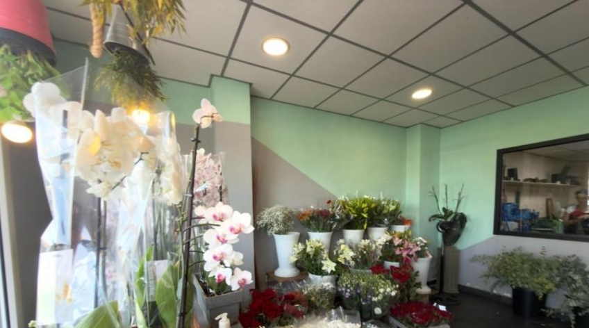 Local comercial