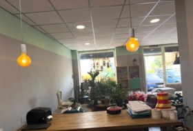 Foto 7