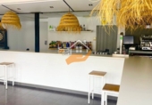 Local comercial en venta con 500m² en Vélez-Rubio foto