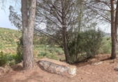 1200m² hotel for sale in Guaro photo