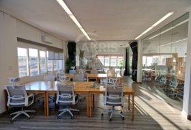 Foto 19
