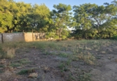 Nau Industrial
en venda
amb 616m² a Azuaga foto