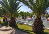 Restaurant
en venda
amb 11855m² a Ciutadella, camí de maó, 07760 foto