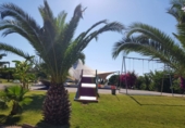 Restaurant
en venda
amb 11855m² a Ciutadella, camí de maó, 07760 foto