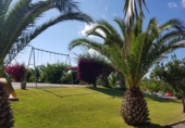 Restaurant
en venda
amb 11855m² a Ciutadella, camí de maó, 07760 foto