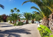 Restaurant
en venda
amb 11855m² a Ciutadella, camí de maó, 07760 foto
