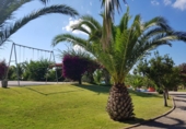 Restaurant
en venda
amb 11855m² a Ciutadella, camí de maó, 07760 foto