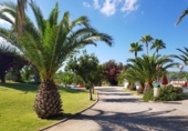 Restaurant
en venda
amb 11855m² a Ciutadella, camí de maó, 07760 foto