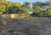 Nave Industrial en venta con 616m² en Azuaga foto