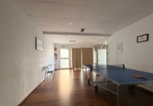 227m² commercial premises for sale in Jerez, in the area of Horse Square photo