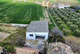 Foto 15