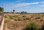 Nau Industrial
en venda
amb 377m² a Elx, Partida Matola foto