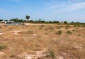 Nau Industrial
en venda
amb 377m² a Elx, Partida Matola foto
