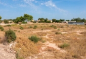 Nau Industrial
en venda
amb 377m² a Elx, Partida Matola foto