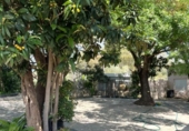 Restaurant
en venda
amb 290m² a Jimena de la Frontera foto