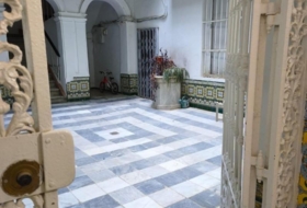 Foto 7