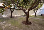 Local comercial
en venda
amb 286m² a Inca, Avinguda del Raiguer foto