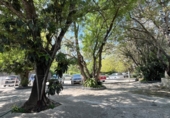 Restaurant
en venda
amb 290m² a Jimena de la Frontera, a la zona de Los Ángeles foto
