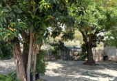 Restaurant
en venda
amb 290m² a Jimena de la Frontera, a la zona de Los Ángeles foto
