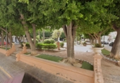 Local comercial
en venda
amb 87m² a Oriola foto