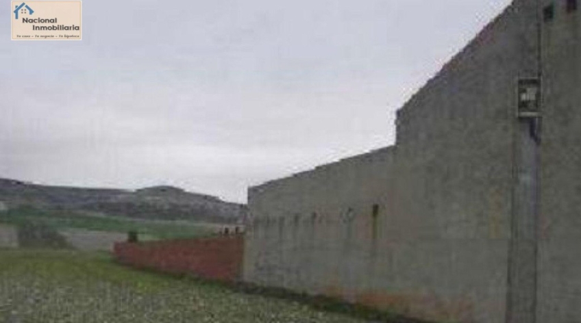 Nave