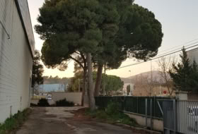 Foto 18