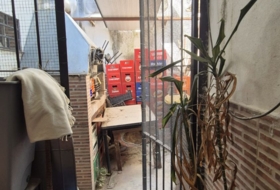 Foto 7